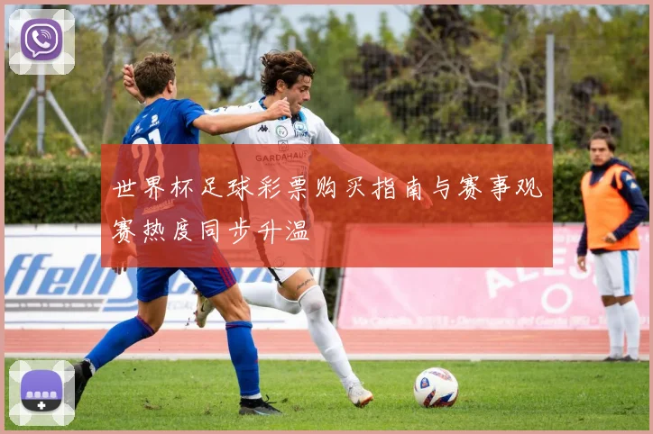 世界杯足球彩票购买指南与赛事观赛热度同步升温